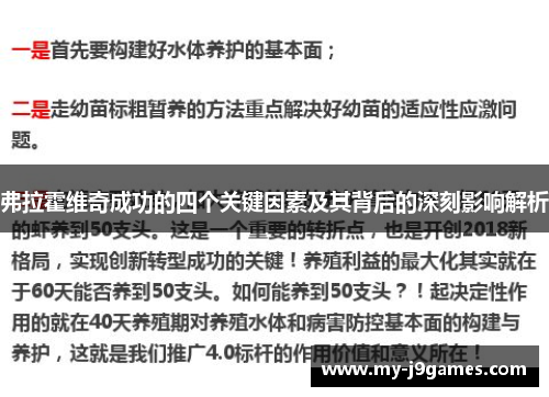 弗拉霍维奇成功的四个关键因素及其背后的深刻影响解析 弗拉霍维奇成功的四个关键因素及其背后的深刻影响解析