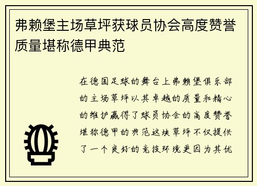 弗赖堡主场草坪获球员协会高度赞誉质量堪称德甲典范