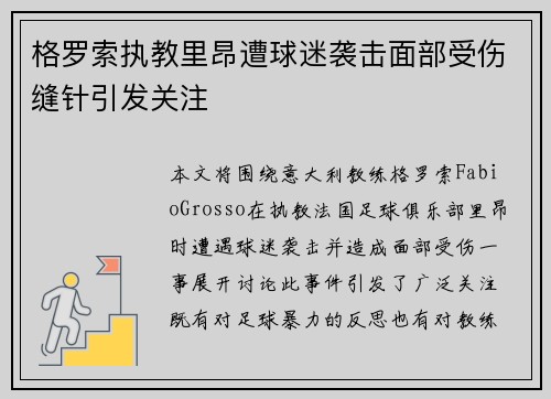 格罗索执教里昂遭球迷袭击面部受伤缝针引发关注